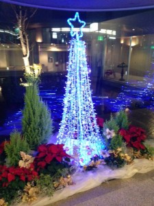 小さなクリスマスツリー （フロント前にあります。）